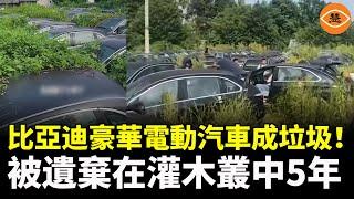 比亞迪奔馳合作的豪華電動車Denza成棄兒 872輛新車被遺棄在草叢裡5年