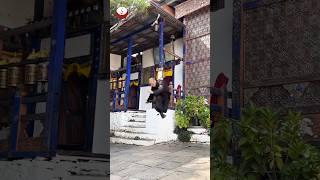 #Tulku #lobsang #rinpoche in #action