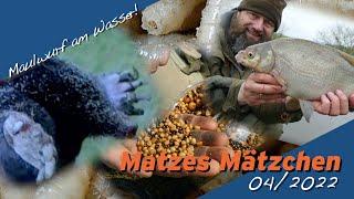 Matze Koch: With Mole on Everything! - Matze's Antics 04-2022