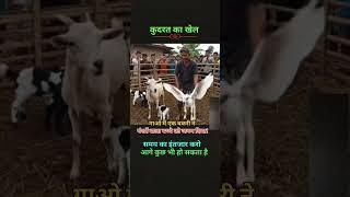 आदमी को हार नहीं माननी चाहिए!motivational # powerful trending short video  #succes#motivational #