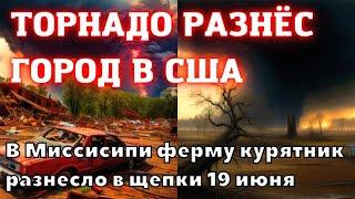 В США торнадо разрушили полностью город в штате Миссисипи. Огромную ферму курятник разнесло в щепки