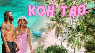 KOH TAO ISLAND PARADISE: We Were Nervous To Go Here! Best Snorkelling Beaches THAILAND!!  