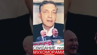 под МУХОМОРАМИ️Невзоров