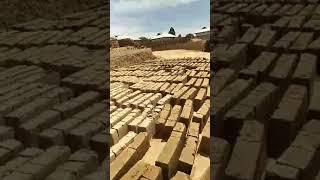 Хом гишт апарат  тракторга  без мишалка