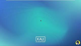 how to install kali linux on VMware 2020- kali linux 2020. 2 install in windows dual boot-VirtualBox