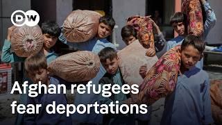 US travel ban, deportations from Pakistan: What place do Afghans have left to go | DW News