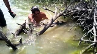 Noodling a 84lb flathead catfish in 1ft of.water!!