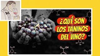 (27) ¿QUÉ SON LOS TANINOS DEL VINO?