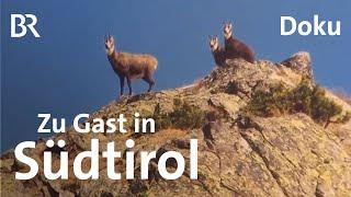 Berggasthöfe und Buschenschänken in Südtirol | Unter unserem Himmel | BR | Doku | Berge