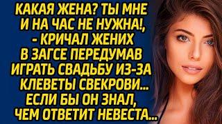 Какая жена? Ты мне и на час не нужна!, - кричал жених в ЗАГСЕ передумав играть свадьбу из-за...