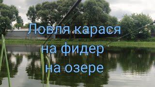 Ловля карася на фидер на озере. Фидерная рыбалка разнорыбицы. Рыбалка в Беларуси.