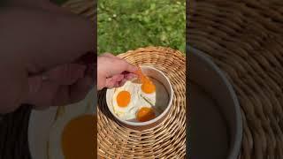 Завтрак на траве (Summer picnic).
