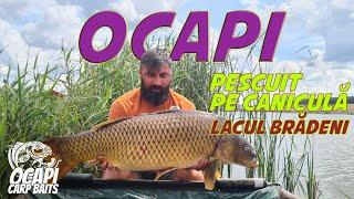 Ocapi Pescuit  pe Caniculă - Lacul Bradeni 4 k