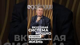 Самый надежный источник положительных эмоций. Что это?