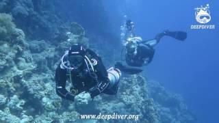 Бердянск на Красном Море. Дайвинг с Deepdiver !