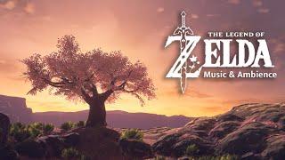 Relaxing Zelda Music for Study/Chill/Sleep [NO ADS]