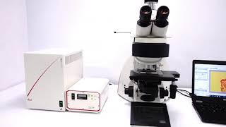 Leica DM6000 Microscope [BOSTONIND] - GLMC #2