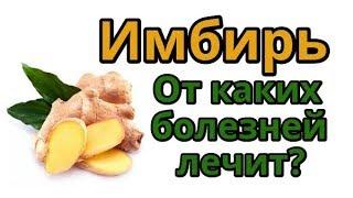 Имбирь. От каких болезней лечит?