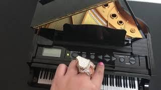 "World's Smallest Functioning Piano - Grand Pianist" by Sega