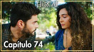 Hercai - Capítulo 74