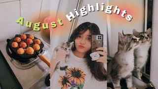 August vlog  making takoyaki, animal crossing tour, and cats !