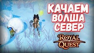 Волш с нуля до капа за стрим - Royal Quest