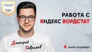 Яндекс ВОРДСТАТ [ОБЗОР] Настройка Яндекс Директ.