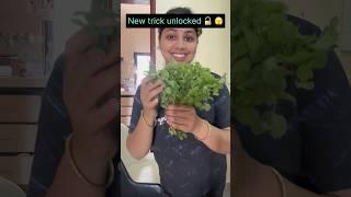 “New trick unlocked 🫣” mint, fresh and green for long ️ time #relatable #funny #shorts