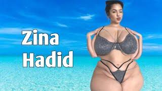 Zina Hadid Biography, BBW curvy plus size model, wiki, net worth, Body measurements.