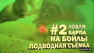 Ловля карпа на бойлы # 2 подводная съёмка (Видео 4К)