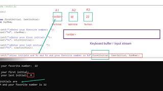 C Programing Issues with scanf() and character data