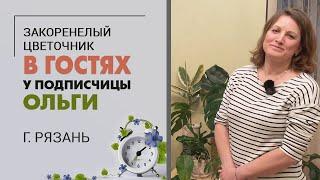 В гостях у подписчицы Ольги.  Город Рязань. Комнатные растения в скандинавском интерьере