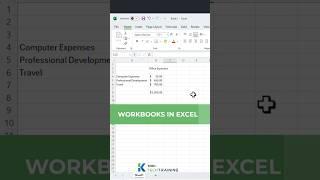 Excel Workbooks