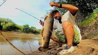 FISHING VIDEOS, how to fish with fishing rods. The best of urban fishing 2024