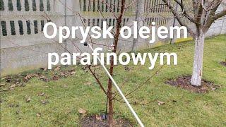 Oprysk olejem parafinowym