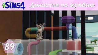 The Sims 4 Династия По Жребию | Мюррей | 2 поколение | #89 Встреча с поклонниками (с сестрой)