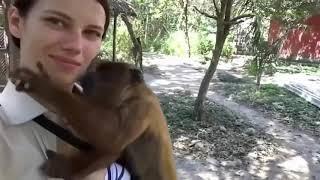 OMG Monkey Kissing Girl.