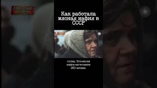 Мясная мафия в СССР. Банда из 260 человек
