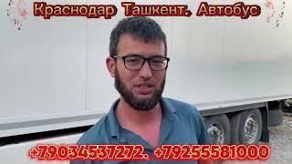 Краснодар. Ташкент автобус#Краснодар хоразм автобус #Краснодар торт король￼ #Краснодар Бухоро