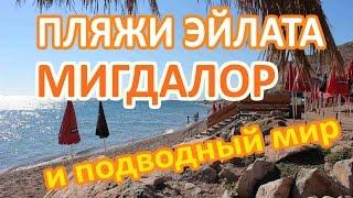 Пляжи Эйлата. Пляж Мигдалор в январе. Подводный мир Красного моря