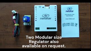 Netstar Smart Switch Retrofit Module (1 Light + 1 Fan Regulator) - Installation & Configuration