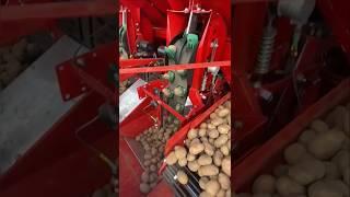 Potato Planter GRIMME GL 420 Exacta Planting Potatoes in UK || Made By GRIMME Germany || #shorts