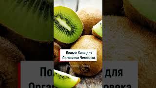 Польза Киви для Организма Человека