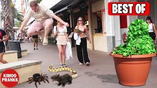 BEST PRANKS OF 2024  FUNNIEST PRANKS OF THE YEAR (PART 01)