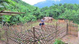 Improve the garden, grow new vegetables - live with nature | Loan Bushcraft.