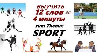 учить немецкие слова  по теме Sport. Немецкий язык.