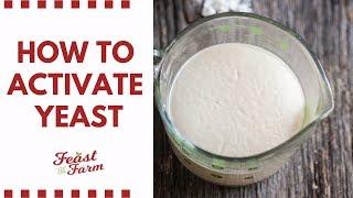 How to activate dry yeast (Be sure it's alive!)