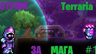 ПРОХОЖДЕНИЕ ЗА МАГА ---TERRARIA#1---ЗАХОДИМ