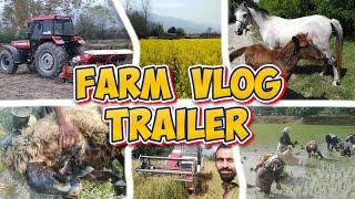 Farm life trailer | Behind the scenes of farm life #farmlife #vlog #farming