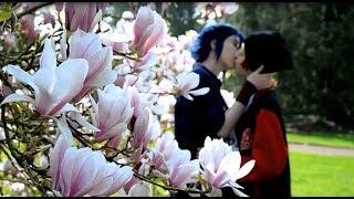 SaruMi spring CMV - Fireflies